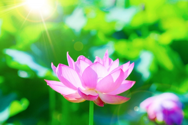 慈光寺よりお知らせ