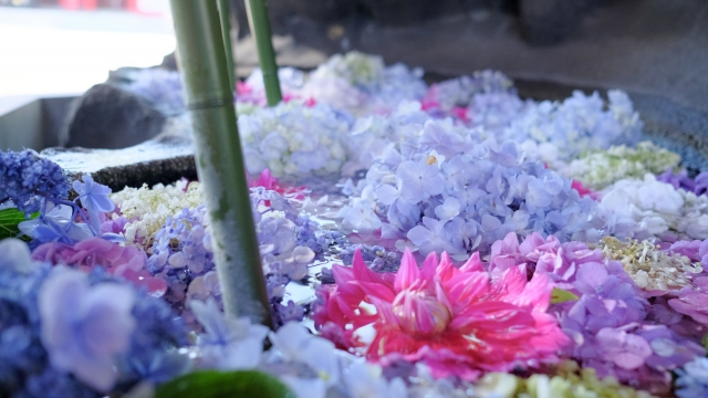 慈光寺よりお知らせ