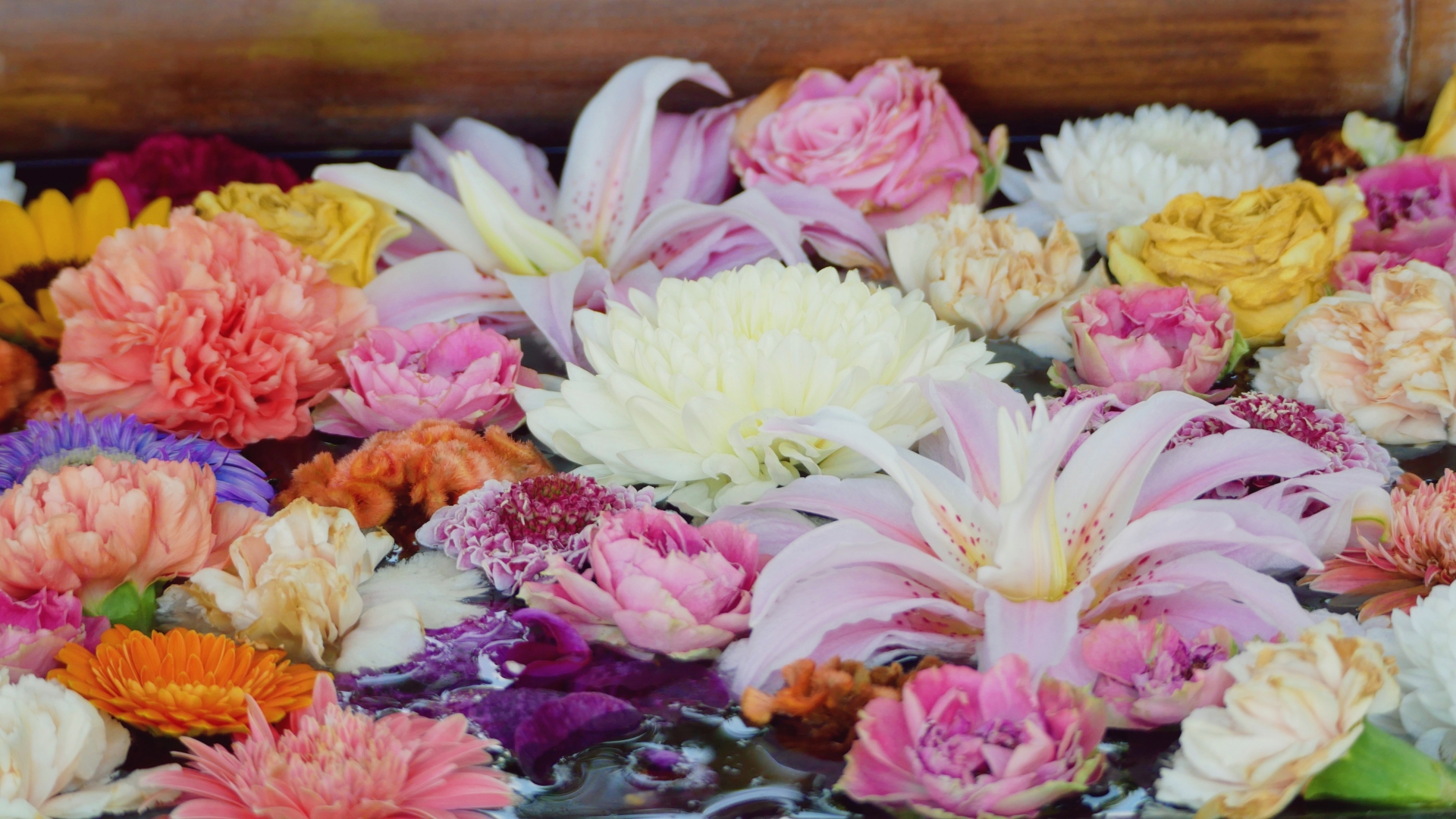 慈光寺よりお知らせ